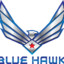 BlueHawk