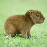 DYN4M1C EasySkins com