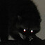 NinnyMutt