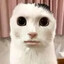 yamsiepants
