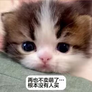 小猫爪