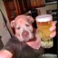 Joe BeerMatic