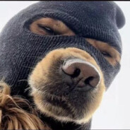 千人万人丶不如你一人