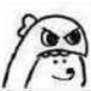 一只猫一只狗的故事