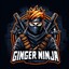 Ginger Ninja