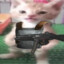 SGT_SQUIRT