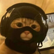 碳猫.