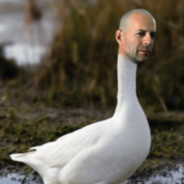 Goose Willis