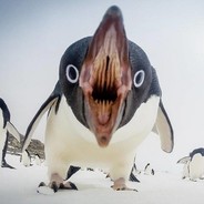 El pinguino te destrosa