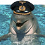 Captain Dolphin