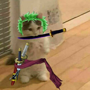 R0ronoaZ0ro