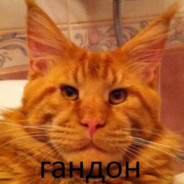 𝑳𝑨𝑹𝑻𝑴𝑶𝑶𝑵