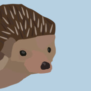 am hedgehog