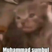 Muhammad Sumbul