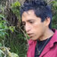 PERRO FLACO POLVEADOR