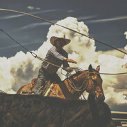 孤枪客饮尽落日醉卧疆