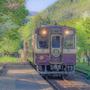 我猜你在看我的ID