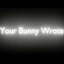 Your_Bunny_Wrote