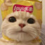 小蟒