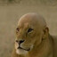 ()'s avatar