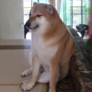 逸一时，误一世