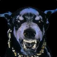 Raoul - steam id 76561197961444966