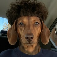 Dawg