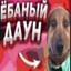 клещ