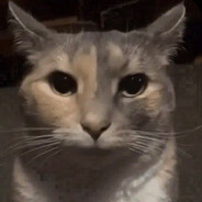 NãoGrita