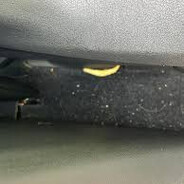 Console Crack French Fry