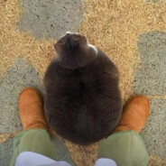 能源之城第一高手