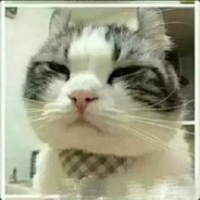 tonight hit cat