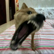 天空海阔任你行.