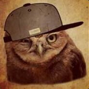 CoolOwl ALL MEAL DEAL