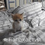 DOG HOUSE MEGAWAYS