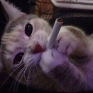 为什么不问问我