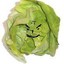 Mr_Lettuce