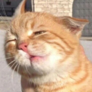 “我捡起一片枫叶，我