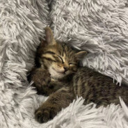 just thought somebody love me