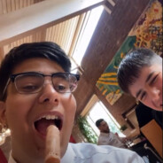 feeder