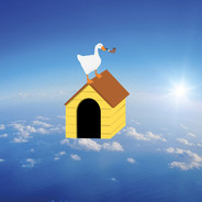 Goosey108