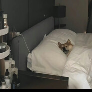 无可奈何下大雨