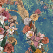 山有木兮木有枳