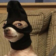 ＊𝕲𝖍𝖔𝖘𝖙＊