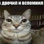 ЧЮПЕП