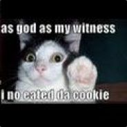 InS🅰nE - steam id 76561197970939391