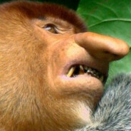 emkej - steam id 76561198221512860