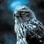Mystic Hawk