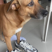 kami skuntap, kami uduk cina