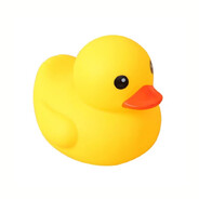 Special Yellow Duck